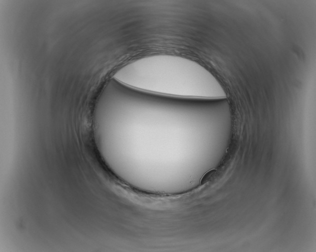 X0000115650040200911101126