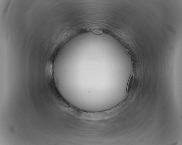X0000115650041200911101126