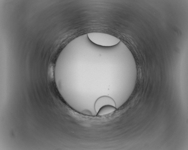 X0000115650042200911101126