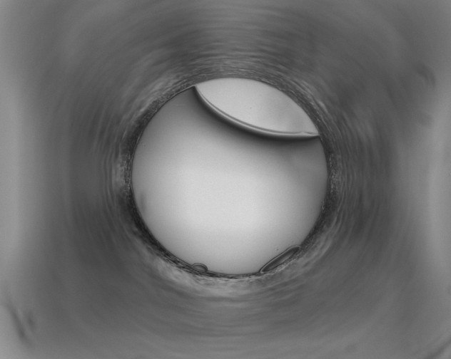 X0000115650044200911101125