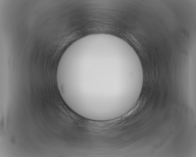 X0000115650045200911101125