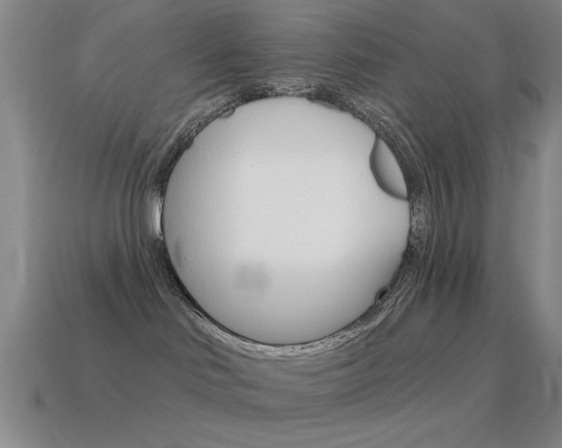 X0000115650046200911101125
