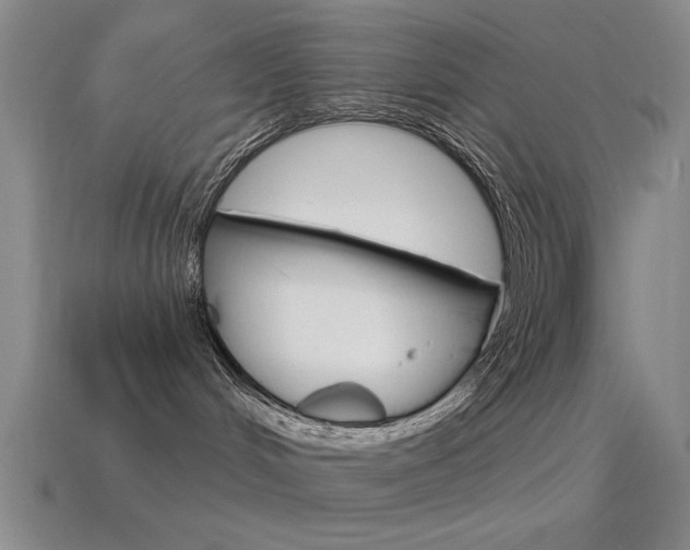 X0000115650048200911101125
