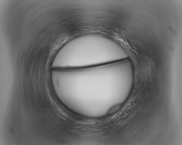 X0000115650049200911101125