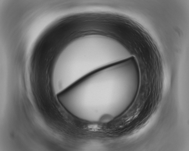 X0000115650050200911101125