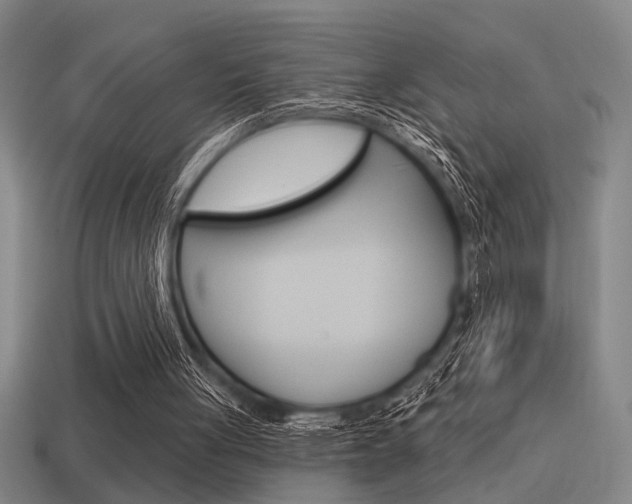 X0000115650051200911101125