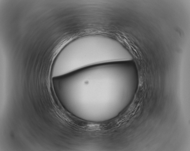 X0000115650052200911101125