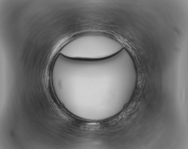 X0000115650053200911101125