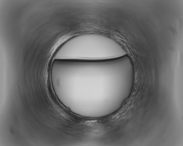 X0000115650054200911101125