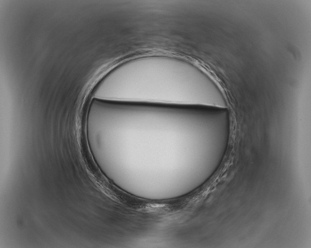 X0000115650055200911101125