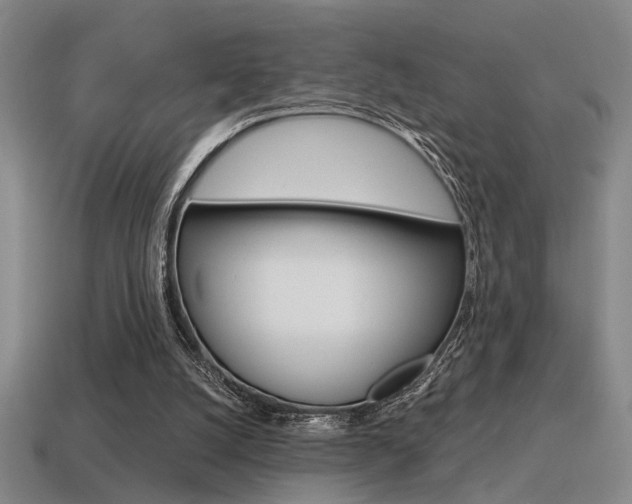 X0000115650056200911101125