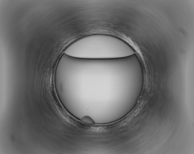 X0000115650057200911101125