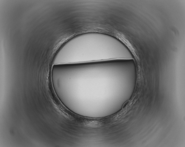 X0000115650058200911101125