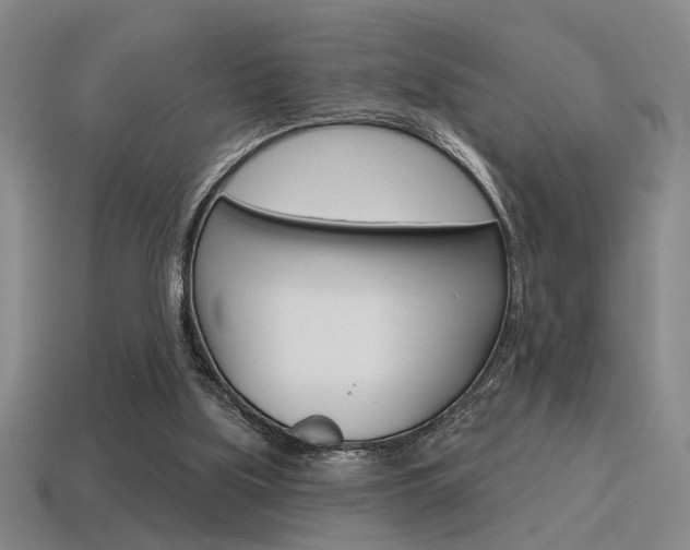 X0000115650059200911101125