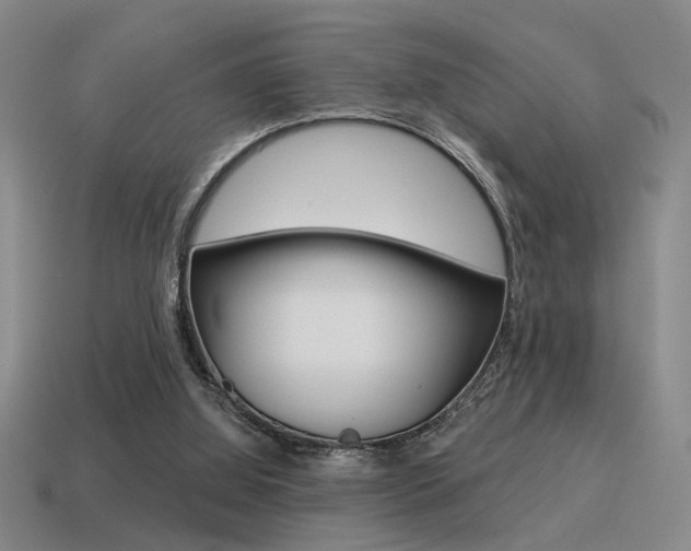 X0000115650060200911101125