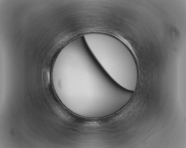 X0000115650061200911101125
