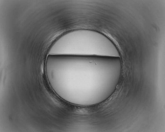 X0000115650062200911101125