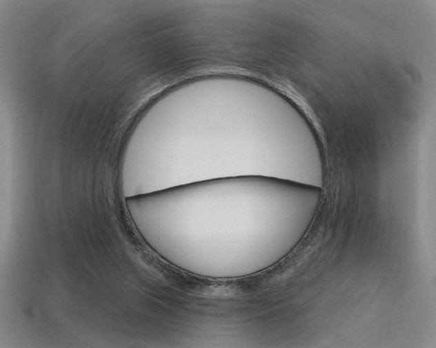 X0000115650063200911101125