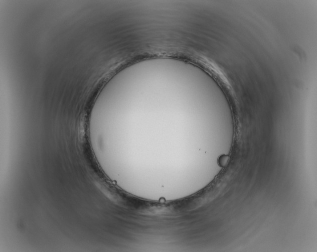 X0000115650065200911101125