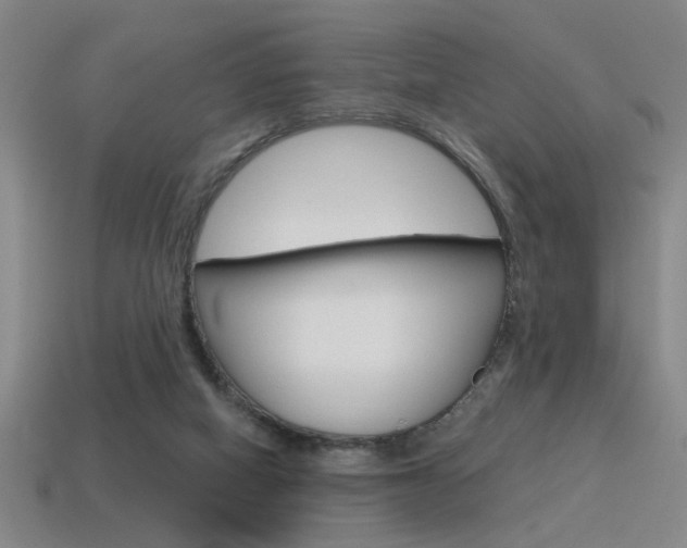 X0000115650066200911101125
