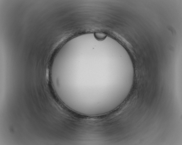 X0000115650067200911101125