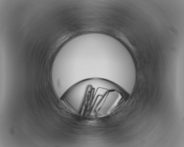 X0000115650068200911101125