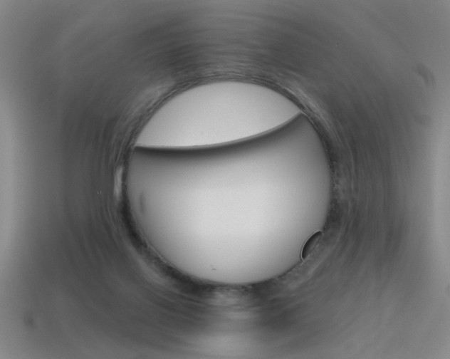 X0000115650070200911101125