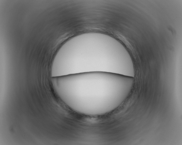 X0000115650071200911101125