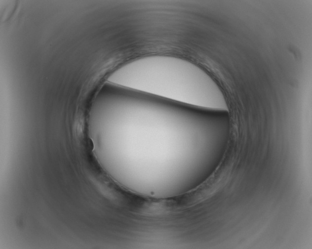 X0000115650072200911101125