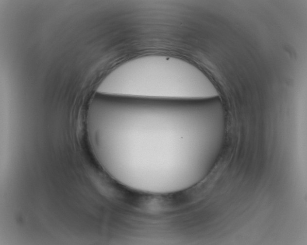 X0000115650074200911101125
