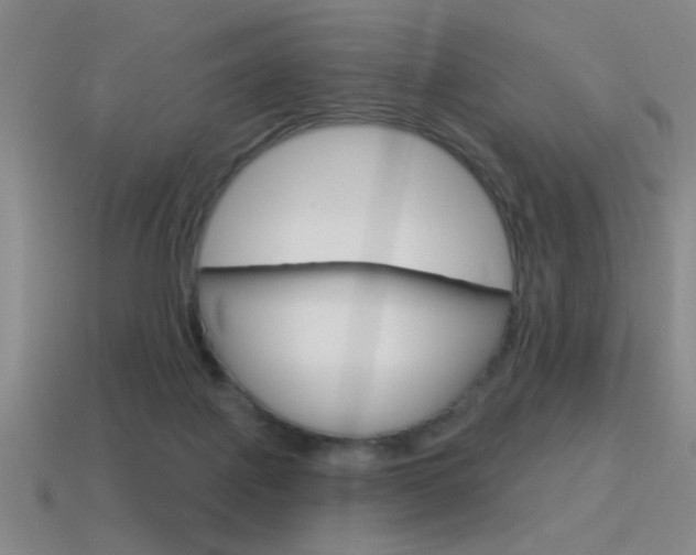 X0000115650075200911101125