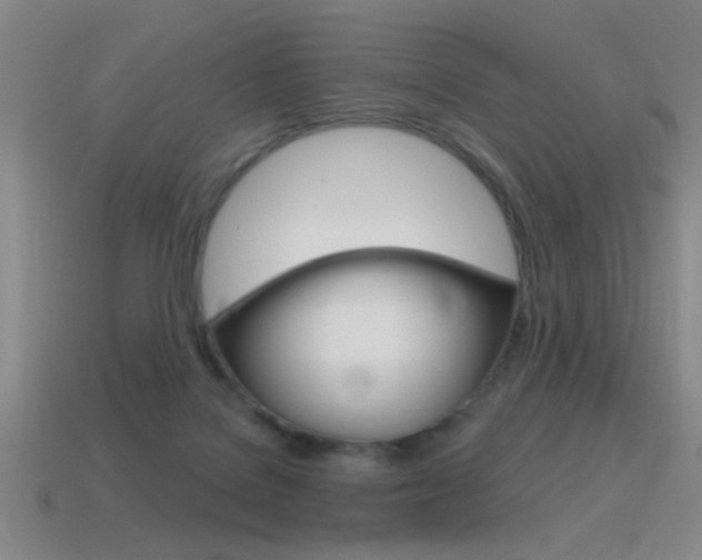 X0000115650076200911101125