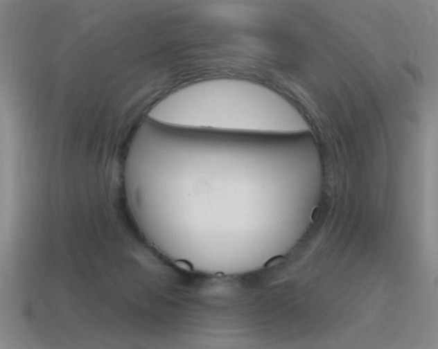 X0000115650077200911101125