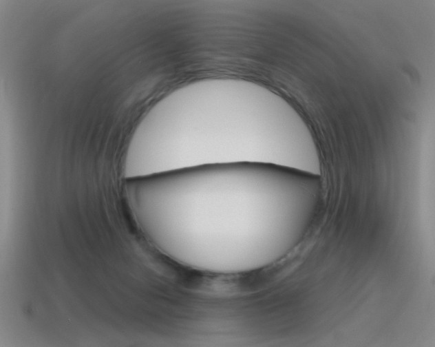 X0000115650078200911101125