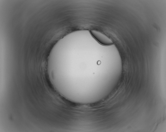 X0000115650079200911101125