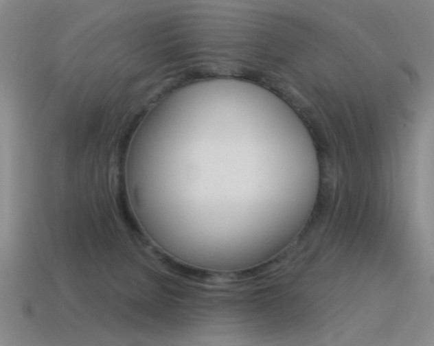 X0000115650080200911101125