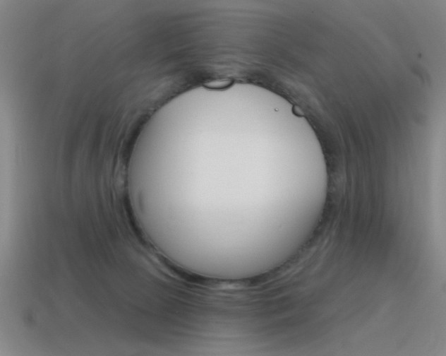 X0000115650081200911101125