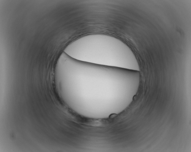 X0000115650083200911101125