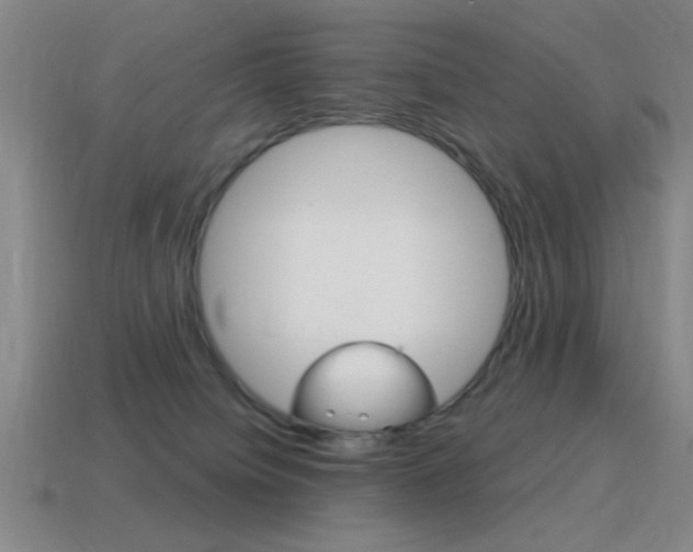 X0000115650084200911101125