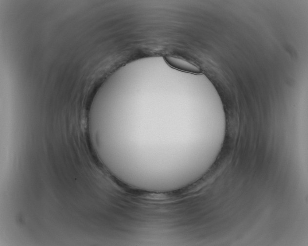 X0000115650085200911101125