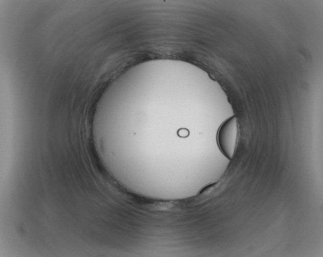X0000115650086200911101125