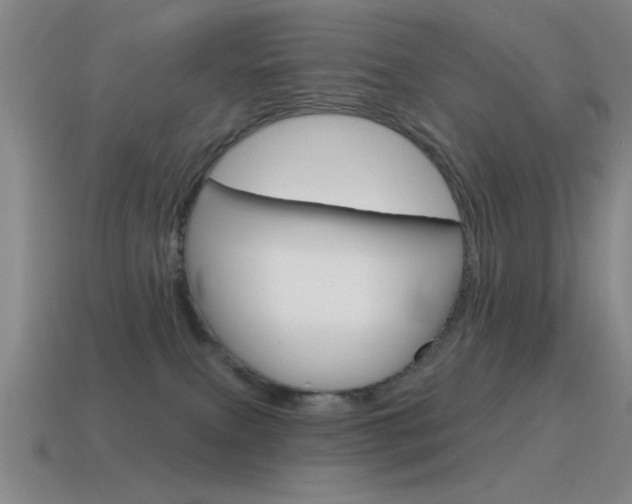 X0000115650087200911101125