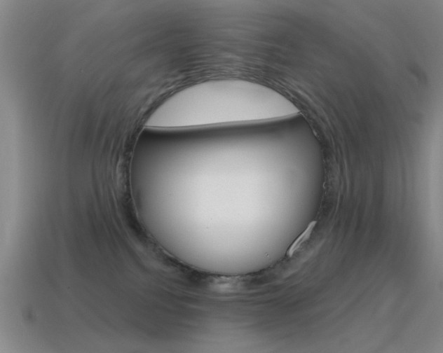 X0000115650088200911101125
