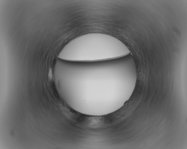 X0000115650089200911101125