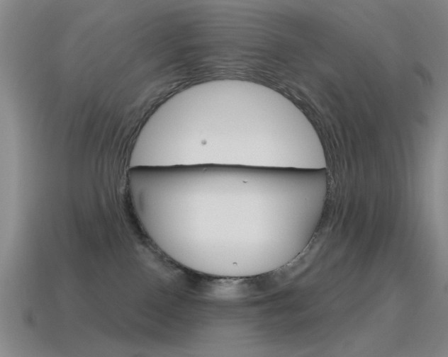 X0000115650090200911101125