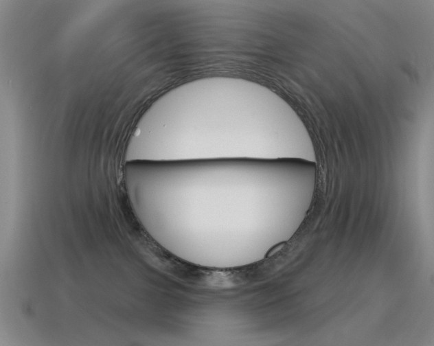 X0000115650091200911101125