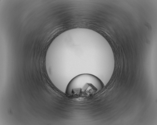 X0000115650092200911101125