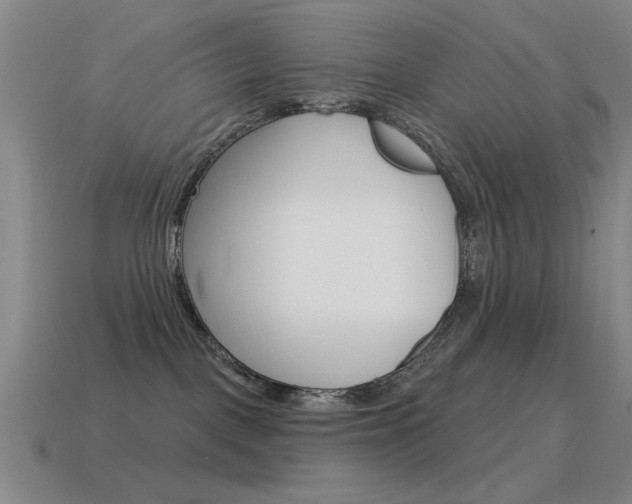 X0000115650093200911101125