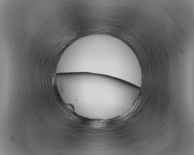 X0000115650094200911101125