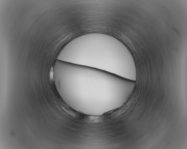 X0000115650095200911101125